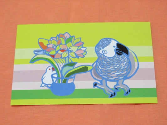 ポストカード　かくれんぼ　ヨウム　文鳥 - 小鳥雑貨専門のお店　スウィート・バーディー・ブティック