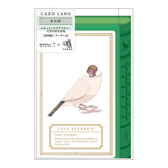 30% OFF  カードラボ　グリーティングカード　文鳥 - 小鳥雑貨専門のお店　スウィート・バーディー・ブティック