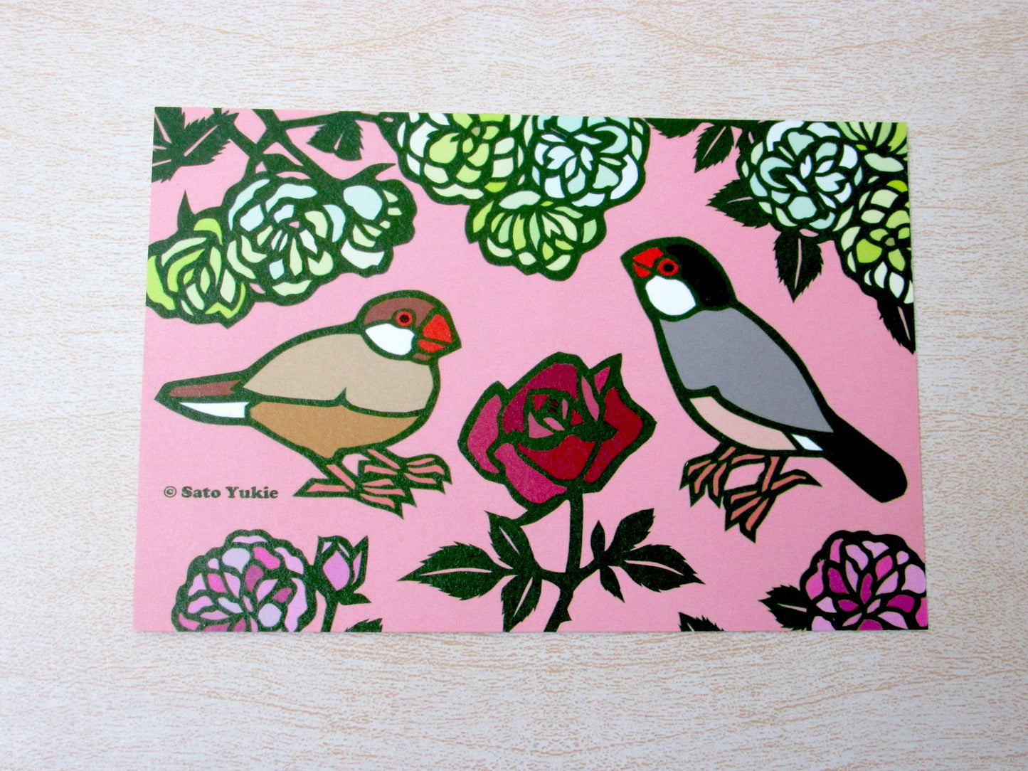 薔薇文鳥　ポストカード