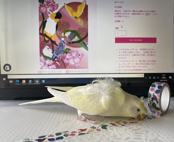 小鳥とお花　マスキングテープ